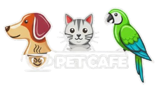 پت کافه | مرجع تخصصی تشویقی سگ و گربه