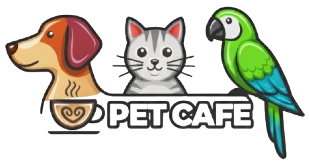 پت کافه | مرجع تخصصی تشویقی سگ و گربه